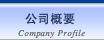 Company Profile