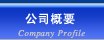 Company Profile